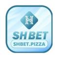 avatar for shbetpizza