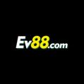 avatar for ev88space