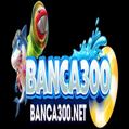 avatar for banca300net