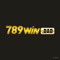 avatar for 789windad