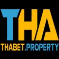 avatar for thabetproperty