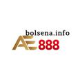 avatar for bolsenainfo