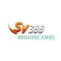 avatar for sv388mindincambs