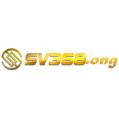 avatar for sv368ninja