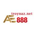 avatar for troynaznet