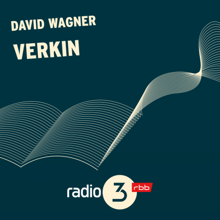 David Wagner: Verkin (AudiobookFormat, 2025)