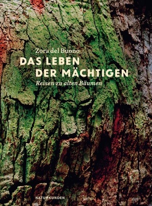 Zora Del Buono: Das Leben der Mächtigen (2016, Matthes & Seitz)