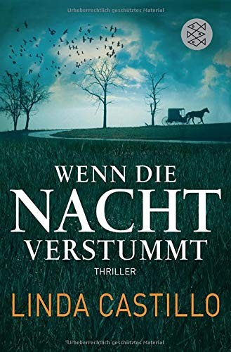 Linda Castillo: Wenn die Nacht verstummt