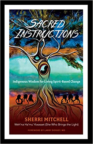 Sherri  L. Mitchell: Sacred instructions (2018)