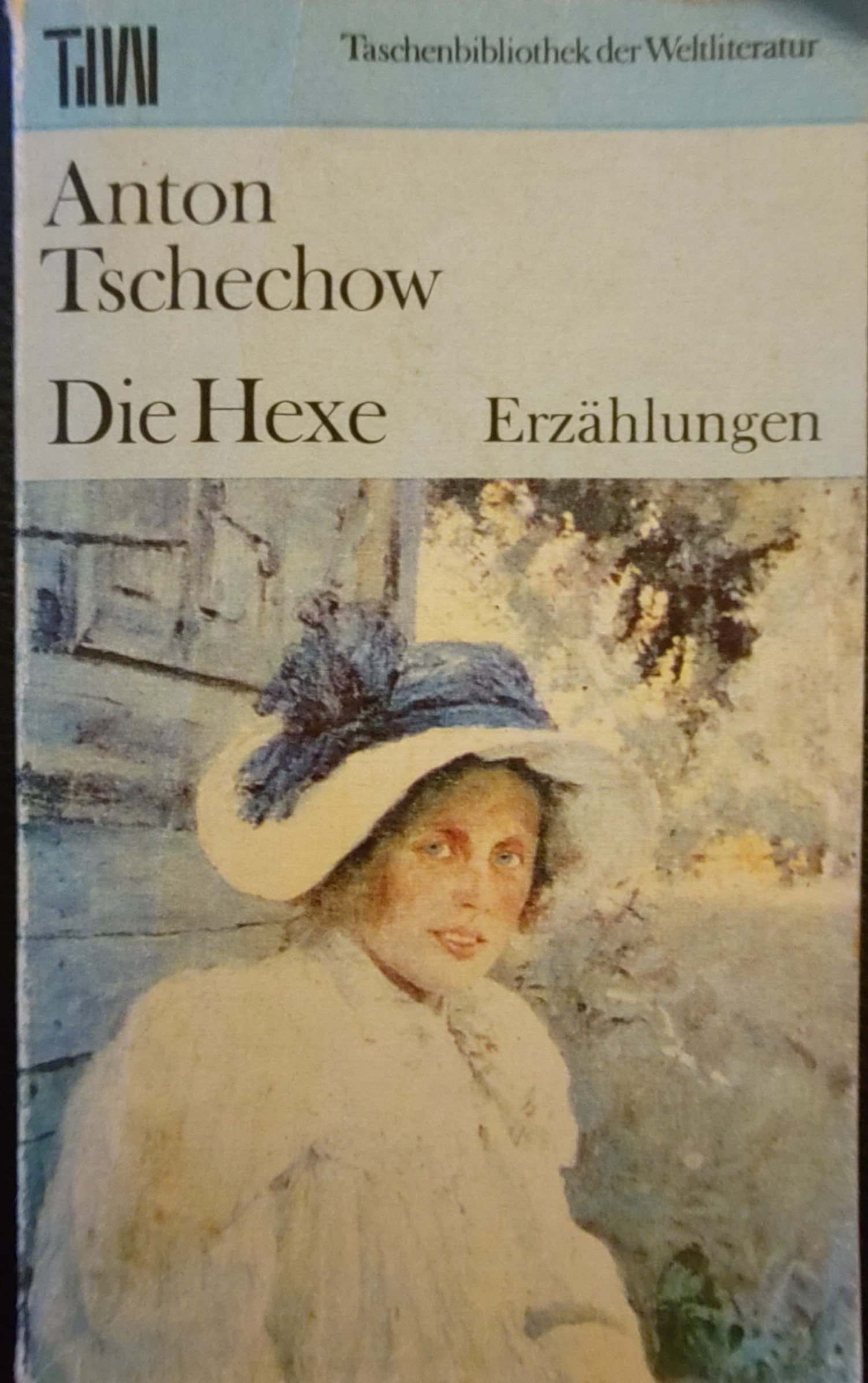 Anton Chekhov: Die Hexe (Paperback, german language)