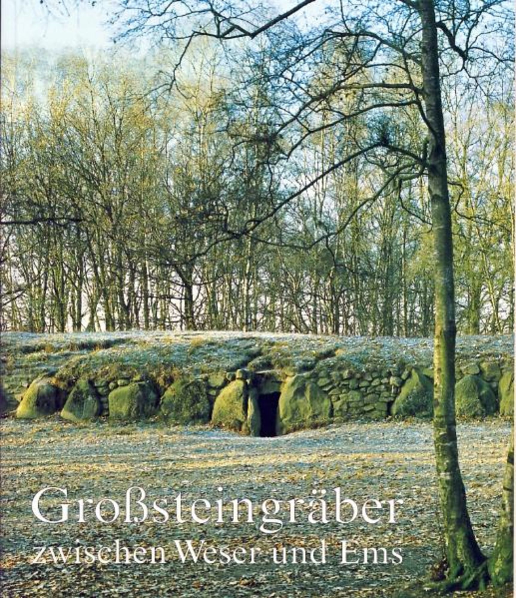 Mamoun Fansa: Grosssteingräber zwischen Weser und Ems (German language, 1992, Isensee)