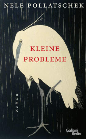 Kleine Probleme (Hardcover, Deutsch language, Galiani-Berlin)