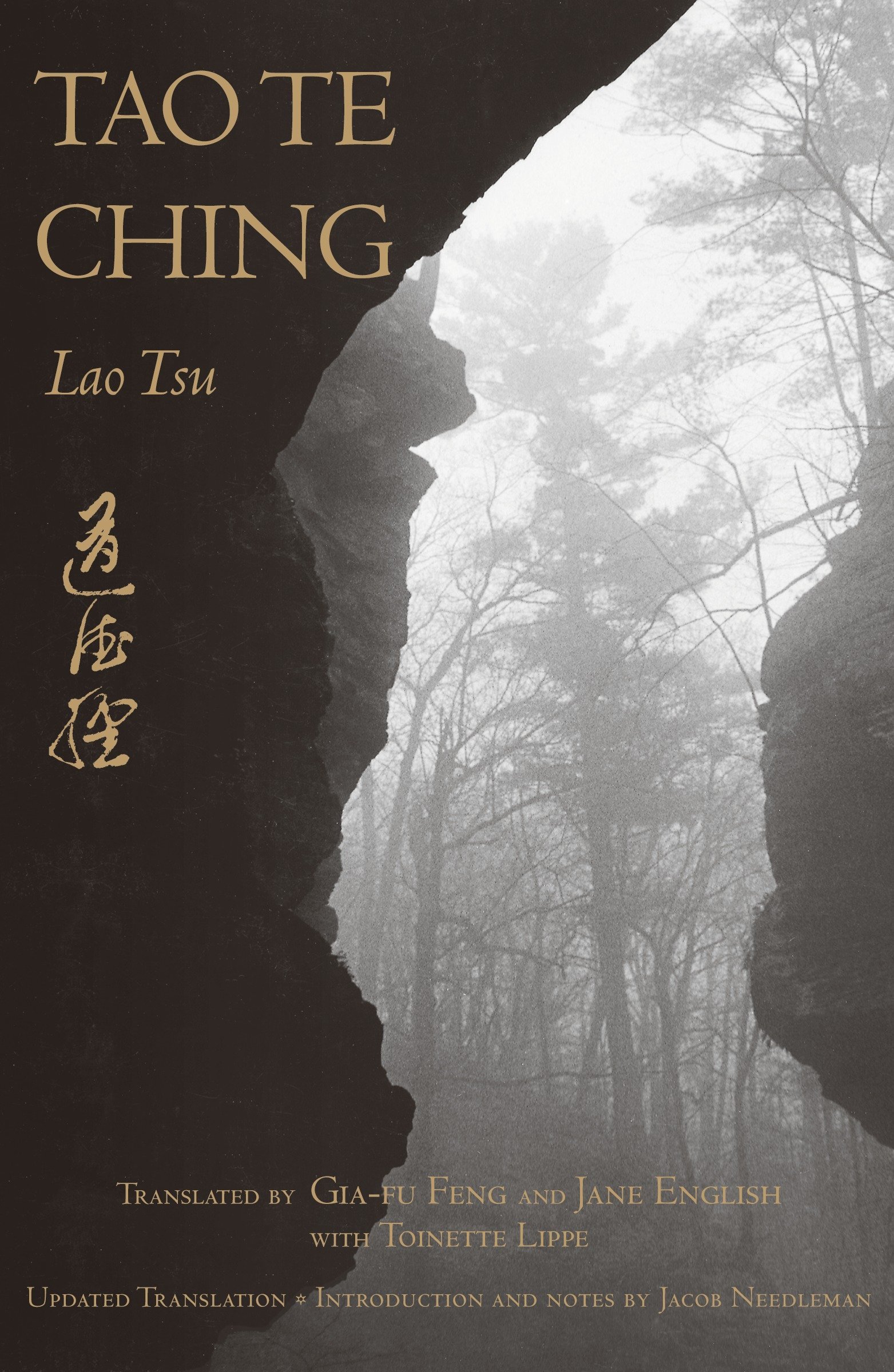 Gia-Fu Feng, Jane English, Toinette Lippe, Jacob Needleman: Tao Te Ching (Paperback, 1989, Vintage)