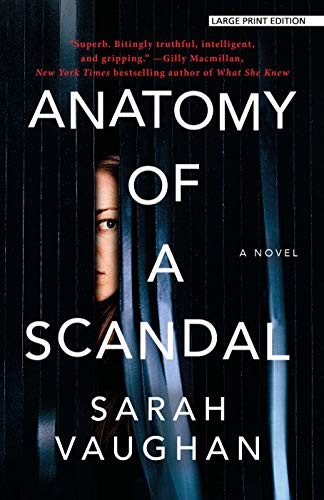 Sarah Vaughan: Anatomy of a Scandal (Paperback, Large Print Press)