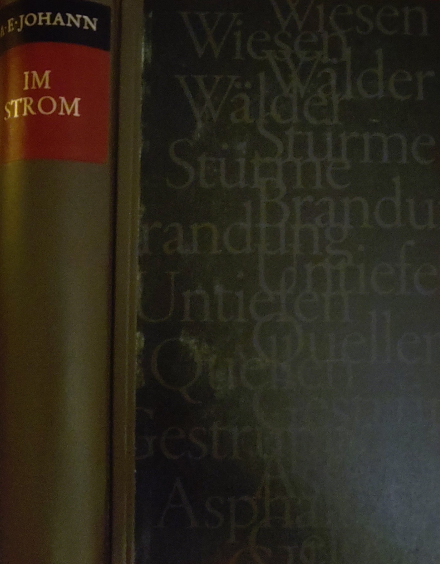 A. E. Johann: Im Strom (Hardcover, german language, 1969, Bertelsmann)